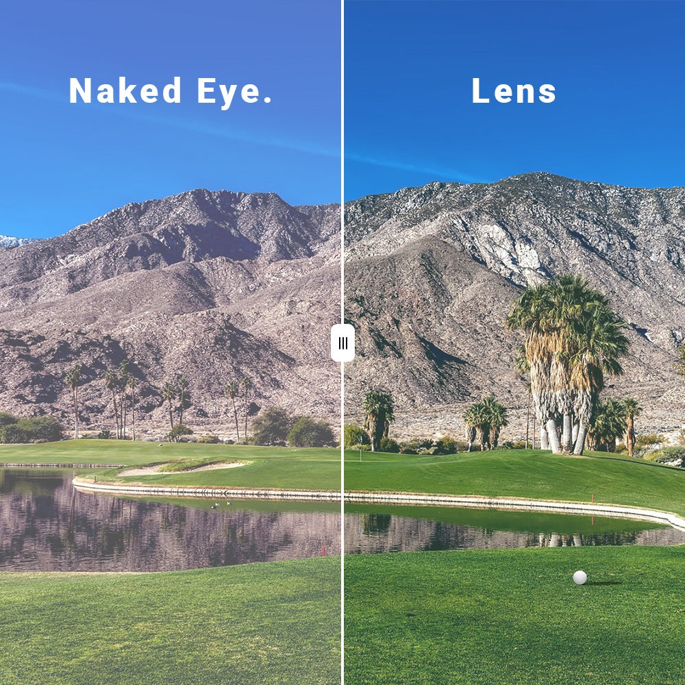 Ask Echo Golf Gunmetal Frame Sunglasses / Revo Blue